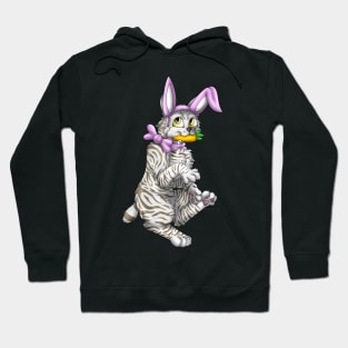 Bobtail BunnyCat: Silver-Amber Tabby (Pink) Hoodie